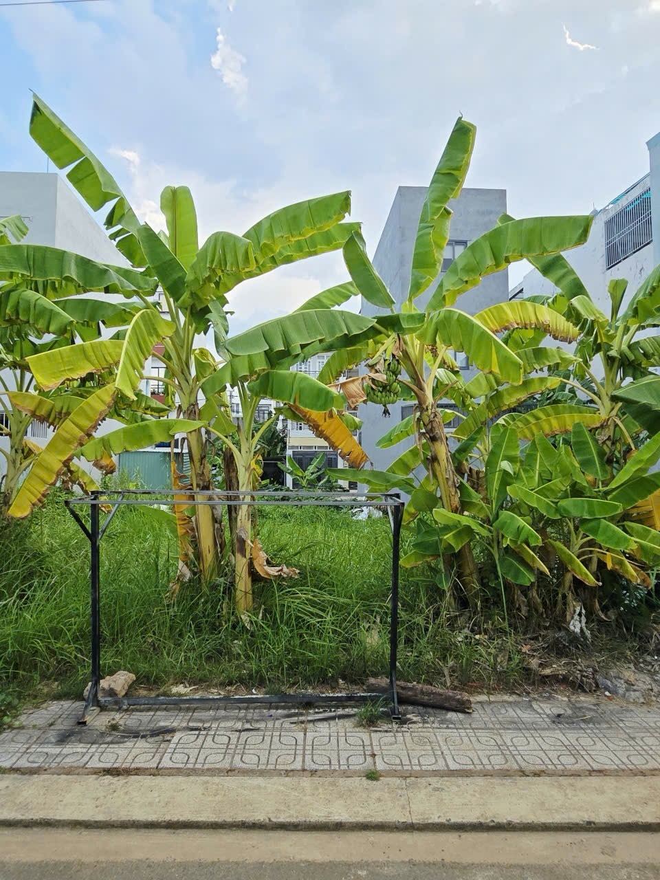 3.1 TỶ - ĐẤT NỀN 50 M² VUÔNG VỨC, ĐƯỜNG Ô TÔ 8M CÓ VỈA HÈ - GẦN CHỢ LONG TRƯỜNG